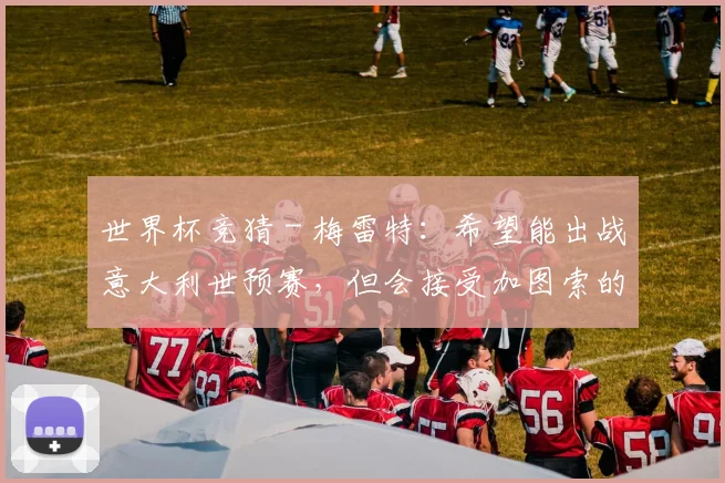 世界杯竞猜 - 梅雷特：希望能出战意大利世预赛，但会接受加图索的任何决定