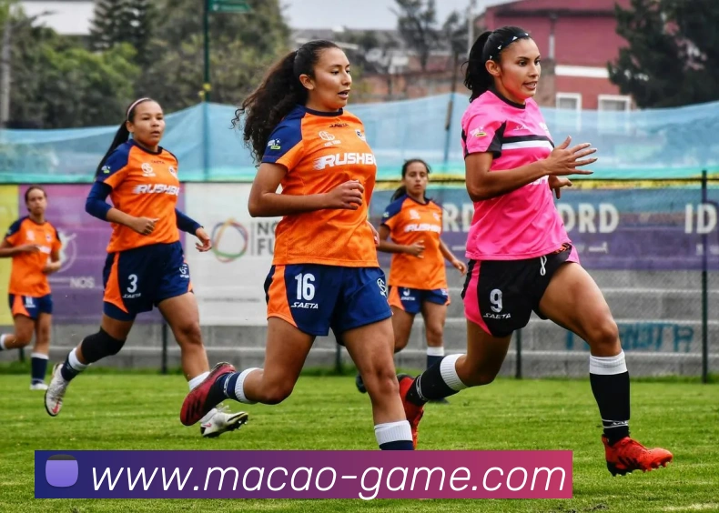 澳门十大游戏公司APP 封面图